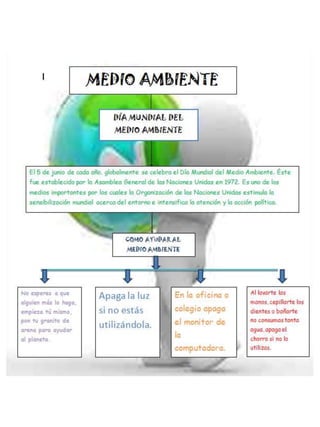 Diagrama sobre el cuidado del Medio Ambiente 2