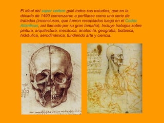 El ideal del  saper vedere  guió todos sus estudios, que en la década de 1490 comenzaron a perfilarse como una serie de tratados (inconclusos, que fueron recopilados luego en el  Codex Atlanticus , así llamado por su gran tamaño). Incluye trabajos sobre pintura, arquitectura, mecánica, anatomía, geografía, botánica, hidráulica, aerodinámica, fundiendo arte y ciencia . 
