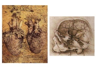 história & estórias