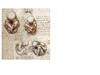 história & estórias