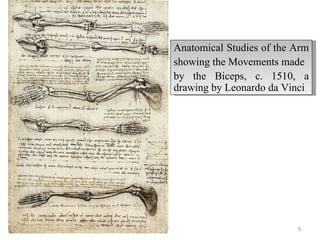 05/26/11 Anatomical Studies of the Arm  showing the Movements made  by the Biceps, c. 1510, a drawing by Leonardo da Vinci 