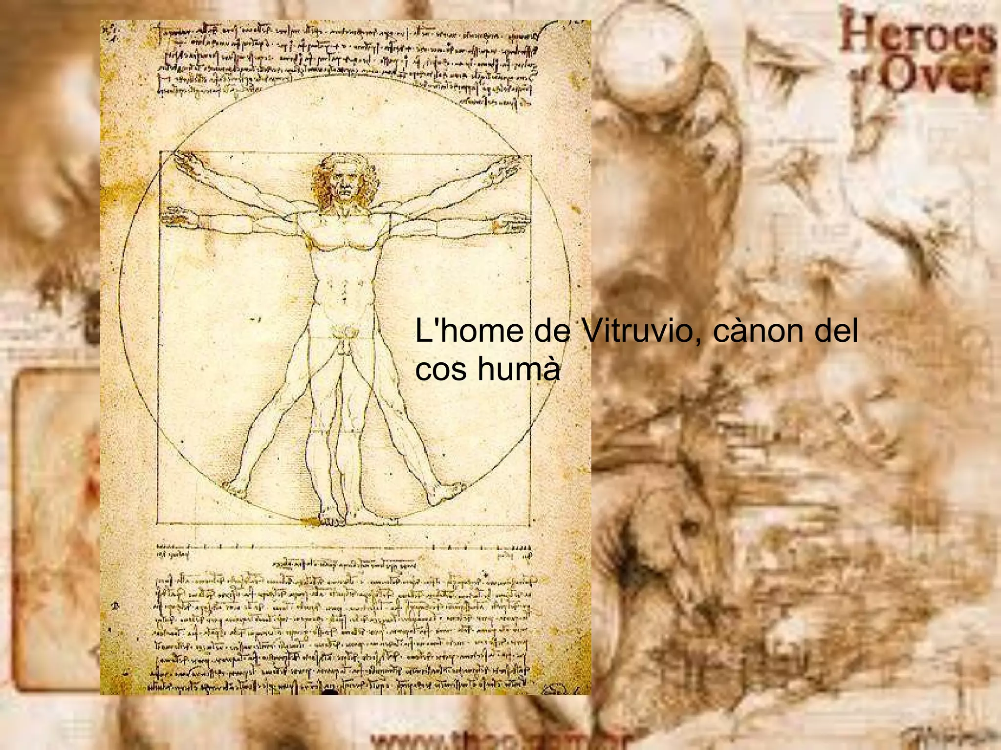 L'home de Vitruvio, cànon del cos humà 