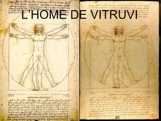 L’HOME DE VITRUVI 