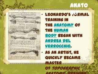 Anato
Anatomy
          „   Leonardo'smy
                         formal
            training in
            the anatomy of
            the human
            body began with
            Andrea del
            Verrocchio.
          „ As an artist, he
            quickly became
                  The Uffizi, Florence
            master
            of topographic
 