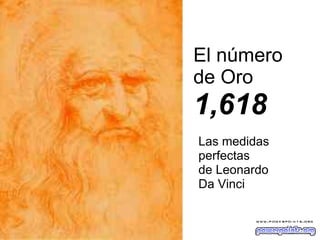 El número  de Oro  1,618 Las medidas  perfectas  de Leonardo  Da Vinci 