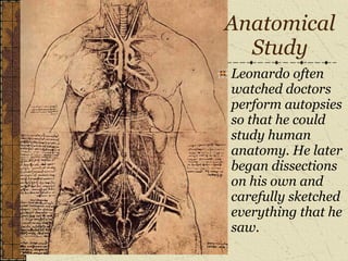Anatomical Study Leonardo often watched doctors perform autopsies so that he could study human anatomy. He later began dissections on his own and carefully sketched everything that he saw. 