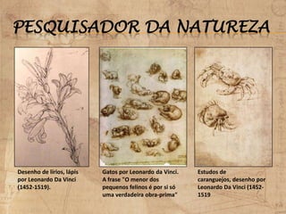 PESQUISADOR DA NATUREZA
Desenho de lírios, lápis
por Leonardo Da Vinci
(1452-1519).
Estudos de
caranguejos, desenho por
Leonardo Da Vinci (1452-
1519
Gatos por Leonardo da Vinci.
A frase "O menor dos
pequenos felinos é por si só
uma verdadeira obra-prima"
 