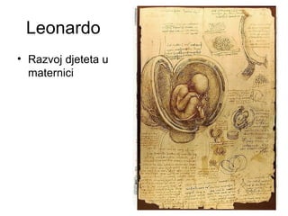 Leonardo
• Razvoj djeteta u
maternici
 