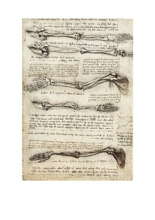 Leonardo da vinci human anatomy drawings