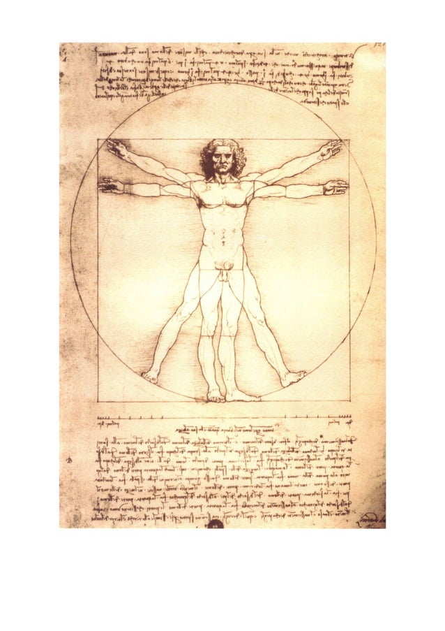 Leonardo da vinci human anatomy drawings