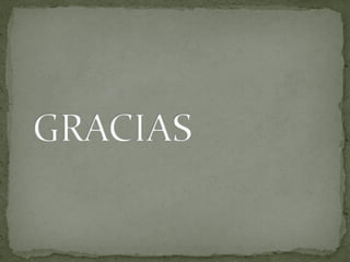 Leonardo da vinci papel