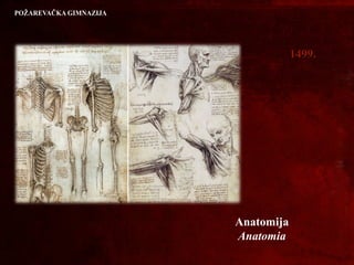 14991499..
Anatomija
Anatomia
 