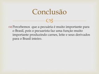 Conclusão 
 
 Percebemos que a pecuária é muito importante para 
o Brasil, pois o pecuarista faz uma função muito 
importante produzindo carnes, leite e seus derivados 
para o Brasil inteiro. 
 