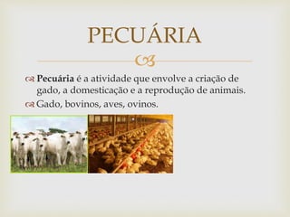 PECUÁRIA 
 
 Pecuária é a atividade que envolve a criação de 
gado, a domesticação e a reprodução de animais. 
 Gado, bovinos, aves, ovinos. 
 
