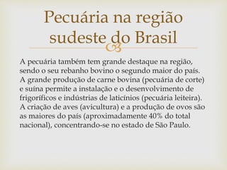 Pecuária na região 
sudeste do Brasil 
 
A pecuária também tem grande destaque na região, 
sendo o seu rebanho bovino o segundo maior do país. 
A grande produção de carne bovina (pecuária de corte) 
e suína permite a instalação e o desenvolvimento de 
frigoríficos e indústrias de laticínios (pecuária leiteira). 
A criação de aves (avicultura) e a produção de ovos são 
as maiores do país (aproximadamente 40% do total 
nacional), concentrando-se no estado de São Paulo. 
 