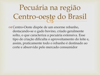 Pecuária na região 
Centro-oeste do Brasil 
 
 Centro-Oeste dispõe de um enorme rebanho, 
destacando-se o gado bovino, criado geralmente 
solto, o que caracteriza a pecuária extensiva. Esse 
tipo de criação dificulta o aproveitamento do leite e, 
assim, praticamente todo o rebanho é destinado ao 
corte e absorvido pelo mercado consumidor 
 