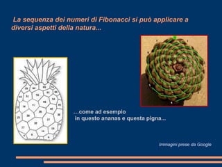 La sequenza dei numeri di Fibonacci si può applicare a
diversi aspetti della natura...




                  …come ad esempio
                  in questo ananas e questa pigna...



                                                 Immagini prese da Google
 
