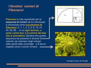 I favolosi numeri di
  Fibonacci

Fibonacci è noto soprattutto per la
sequenza di numeri da lui individuata
e conosciuta come successione di
Fibonacci: 0, 1, 1, 2, 3, 5, 8, 13, 21,
34, 55, 89 ... in cui ogni termine, a
parte i primi due, è la somma dei due
che lo precedono. Sembra che questa
sequenza sia presente in diverse forme
naturali, per esempio negli sviluppi
delle spirali delle conchiglie o di alcuni
vegetali come il cavolo romano.




                                             Immagini prese da Google
 