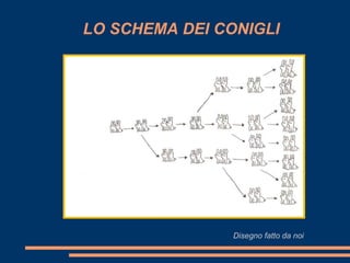 LO SCHEMA DEI CONIGLI




                Disegno fatto da noi
 