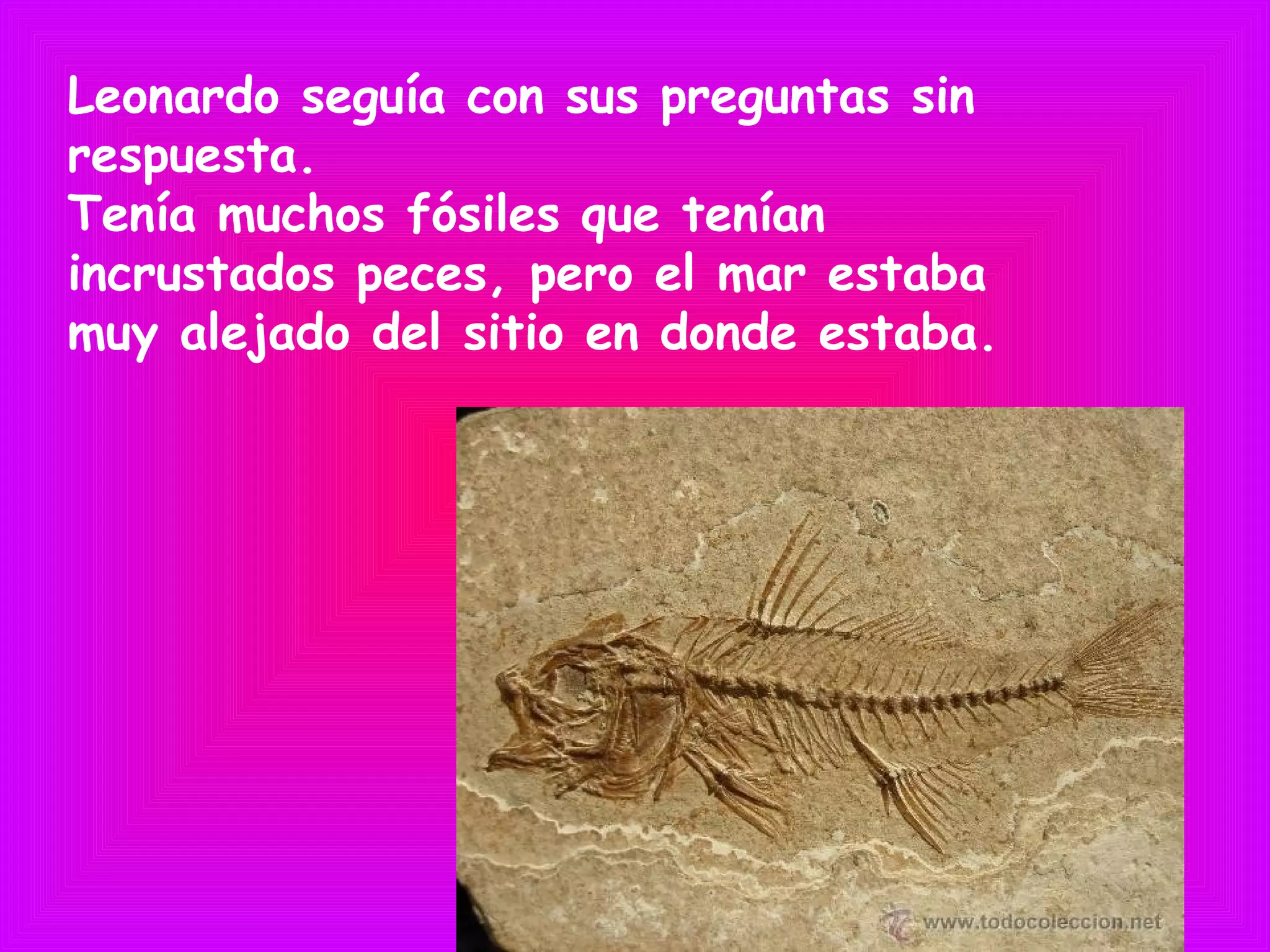 Leonardo seguía con sus preguntas sin
respuesta.
Tenía muchos fósiles que tenían
incrustados peces, pero el mar estaba
muy alejado del sitio en donde estaba.
 