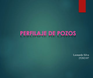Leonardo Silva
25202187
 