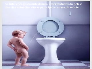 As infecções gastrointestinais, enfermidades da pele e das vias urinárias são as principais causas de morte. 