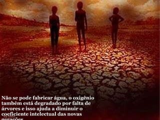 Não se pode fabricar água, o oxigênio também está degradado por falta de  árvores e isso ajuda a diminuir o coeficiente intelectual das novas gerações  