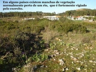 Em alguns países existem manchas de vegetação normalmente perto de um rio,  que é fortemente vigiado pelo exercito.  