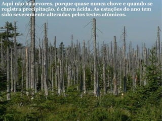Aqui não há arvores, porque quase nunca chove e quando se registra precipitação, é chuva ácida. As estações do ano tem sido severamente alteradas pelos testes atômicos.  