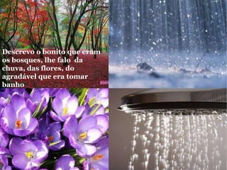 Descrevo o bonito que eram os bosques, lhe falo  da chuva, das flores, do agradável que era tomar banho 