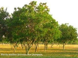 Havia muitas árvores nos parques,   