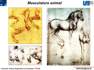 Musculatura animal 
Leonardo: Artista, Engenheiro ou Cientista?- 79/126 dktanaka@usp.br 
 