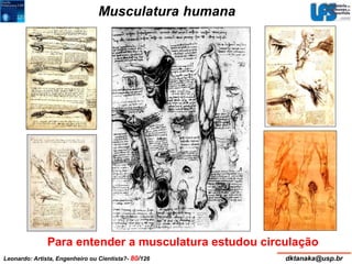 Musculatura humana 
Para entender a musculatura estudou circulação 
Leonardo: Artista, Engenheiro ou Cientista?- 80/126 dktanaka@usp.br 
 