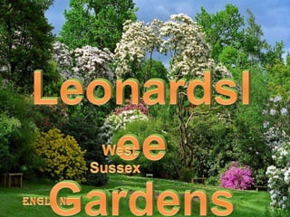 Leonardslee  Gardens West Sussex  