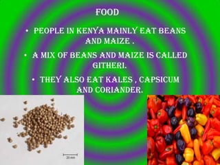 Food
• People in Kenya mainly eat beans
              and maize .
• A mix of beans and maize is called
               githeri.
 • They also eat kales , capsicum
          and coriander.
 