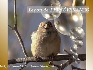 Leçon de PERSÉVERANCE Musique: Songbird – Barbra Streisand  