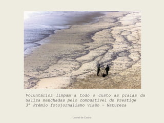 Leonel de Castro
Voluntários limpam a todo o custo as praias da
Galiza manchadas pelo combustível do Prestige
3º Prémio fotojornalismo visão – Natureza
 