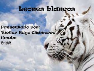Leones blancos


Presentado por:
Victor Hugo Chamorro
Grado:
8ª02
 