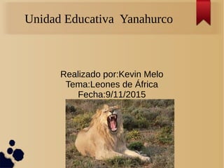 Unidad Educativa Yanahurco
Realizado por:Kevin Melo
Tema:Leones de África
Fecha:9/11/2015
 