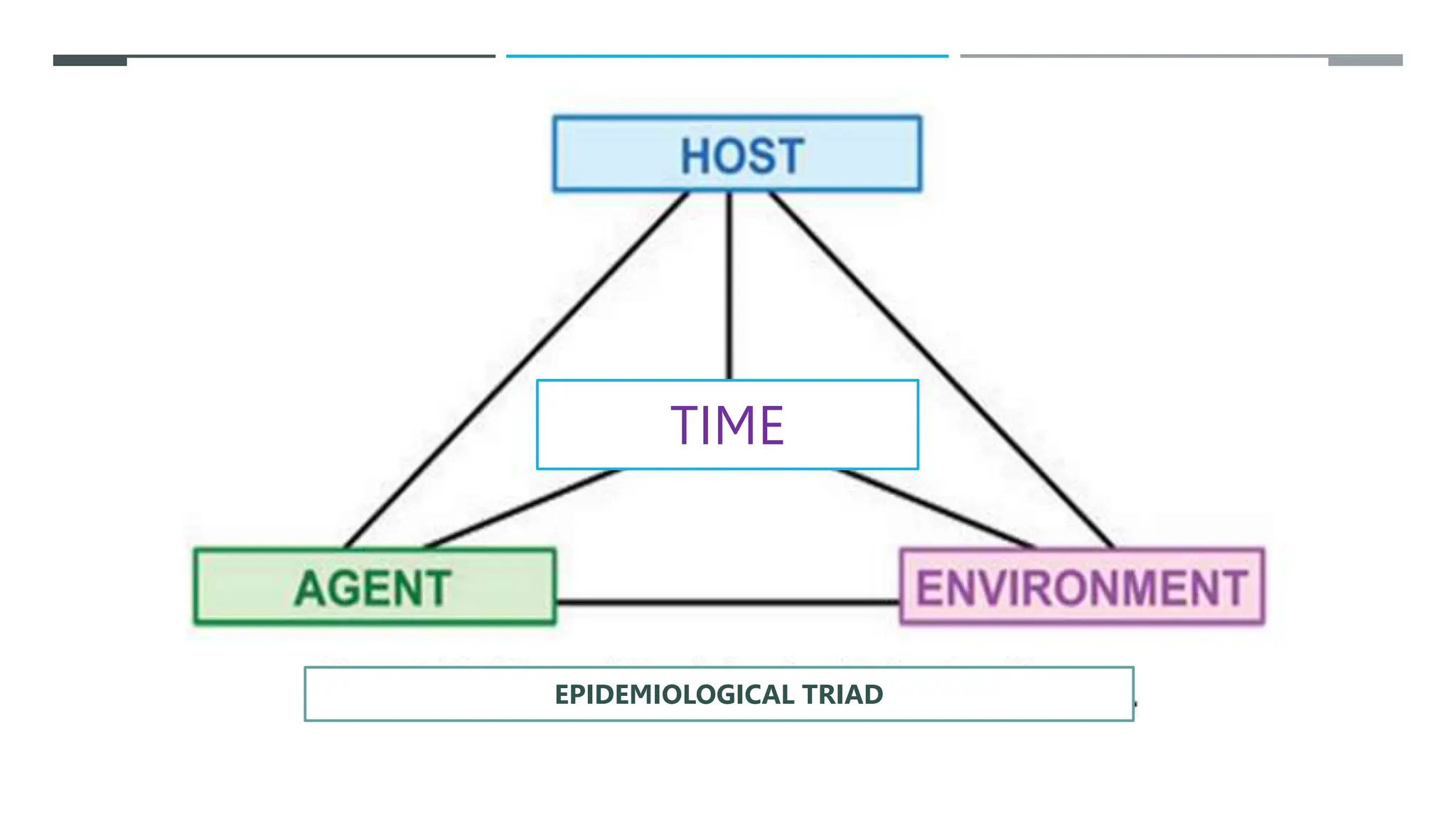 TIME
EPIDEMIOLOGICAL TRIAD
 