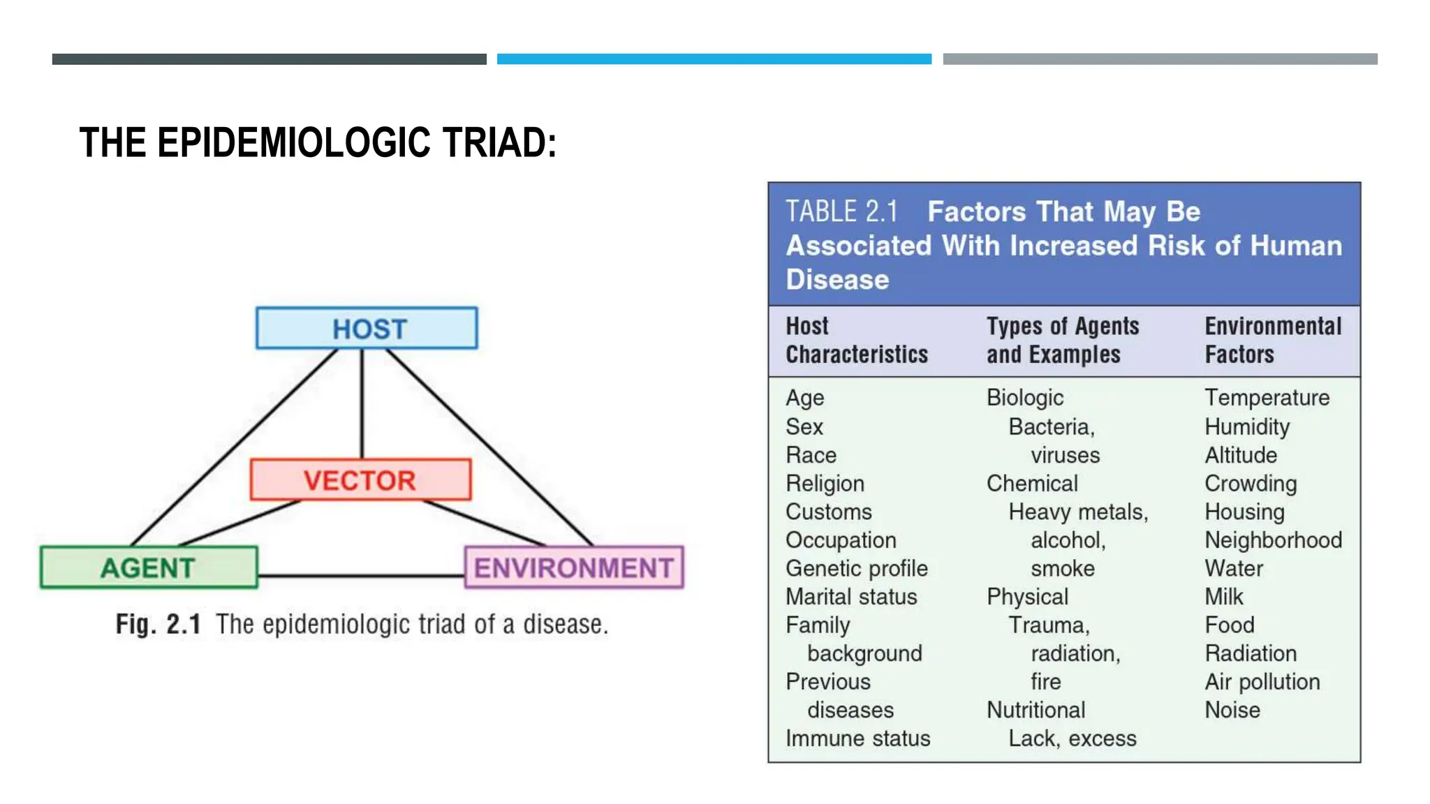THE EPIDEMIOLOGIC TRIAD:
 