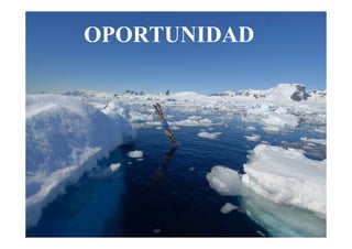 OPORTUNIDAD
 