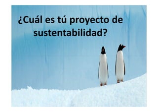 ¿Cuál es tú proyecto de
   sustentabilidad?
 