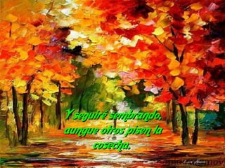 Y seguiré sembrando,
aunque otros pisen la
      cosecha.
 