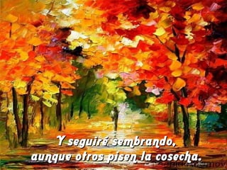 Y seguiré sembrando,Y seguiré sembrando,
aunque otros pisen la cosecha.aunque otros pisen la cosecha.
 