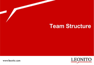 Team Structure 