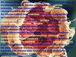 As células-tronco, também conhecidas como células-mãe ou, erradamente, como células estaminais, são  células  que possuem a melhor capacidade de se  dividir  dando origem a células semelhantes às progenitoras. As células-tronco dos  embriões  têm ainda a capacidade de se transformar, num processo também conhecido por  diferenciação celular , em outros  tecidos  do corpo, como  ossos ,  nervos ,  músculos  e  sangue . Devido a essa característica, as células-tronco são importantes, principalmente na aplicação terapêutica, sendo potencialmente úteis em terapias de combate a doenças  cardiovasculares ,  neurodegenerativas ,  diabetes  tipo-1,  acidentes vasculares cerebrais , doenças hematológicas,  traumas  na  medula espinhal  e nefropatias.[ carece de fontes ?] O principal objetivo das pesquisas com células-tronco é usá-las para recuperar tecidos danificados por essas doenças e traumas. São encontradas em células embrionárias e em vários locais do corpo, como no  cordão umbilical , na  medula óssea , no  sangue , no  fígado , na  placenta  e no  líquido amniótico . Nesse último local, conforme descoberta de pesquisadores da Escola de Medicina da Universidade de Wake Forest, no estado 
