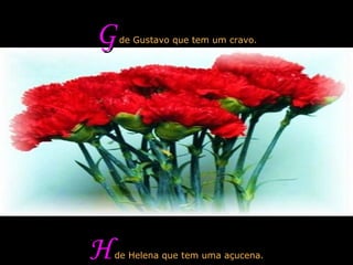 G  de Gustavo que tem um cravo. H  de Helena que tem uma açucena. 