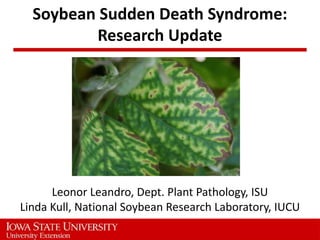 Soybean Sudden Death Syndrome:
            Research Update




      Leonor Leandro, Dept. Plant Pathology, ISU
Linda Kull, National Soybean Research Laboratory, IUCU
Crop Advantage Series 2011
 