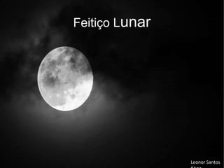 Feitiço Lunar
Leonor Santos
 